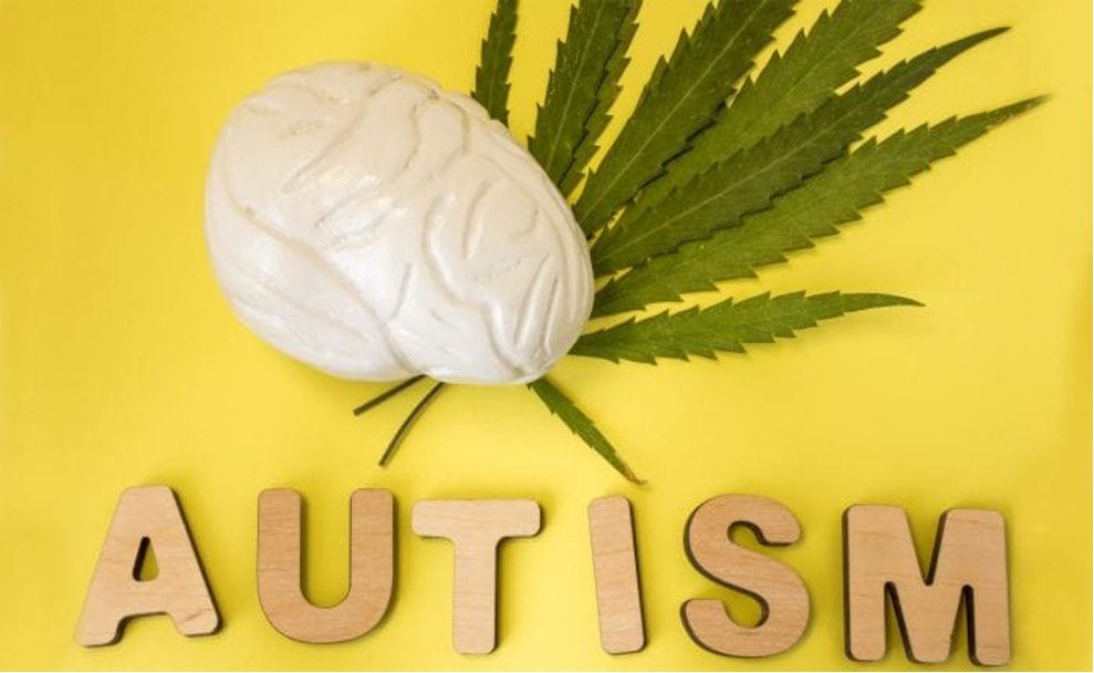 Medical Cannabis Shown to Ease Symptoms of Autism