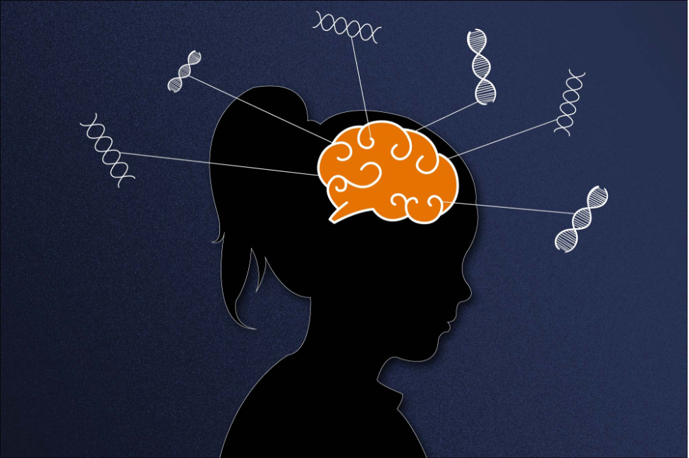Brain Study Suggests Autism Develops Differently in Girls Than Boys